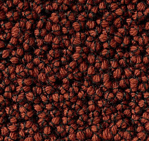 Ковролин Best Wool Nature Vivaldi I-AB Flavoured Cayenne фото 1 | FLOORDEALER